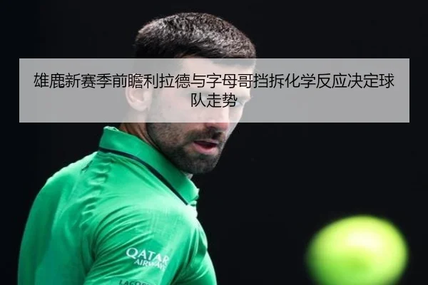 雄鹿新赛季前瞻利拉德与字母哥挡拆化学反应决定球队走势